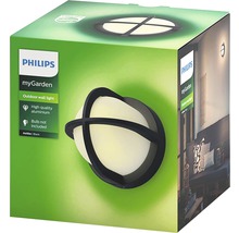 Verpackung der Philips myGarden Außenwandleuchte Astilbe