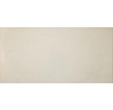 Feinsteinzeug Wand- und Bodenfliese Loire Beige 30 x 60 x 1 cm rektifiziert-thumb-0