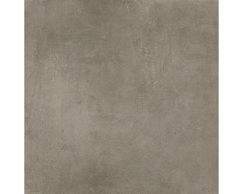 Feinsteinzeug Wand- und Bodenfliese New Concrete Taupe matt 60 x 60 cm