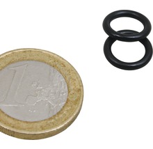 Zwei O-Ringe neben einer Ein-Euro-Münze zur Größenanzeige.