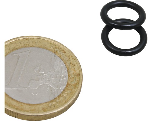 Zwei O-Ringe neben einer Ein-Euro-Münze zur Größenanzeige.