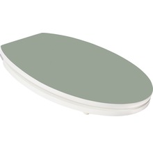 Toilettendeckel aus Kunststoff