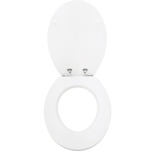 Toilettensitz aus Kunststoff mit Deckel, geöffnet