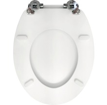 Toilettendeckel aus Kunststoff mit Metallscharnieren