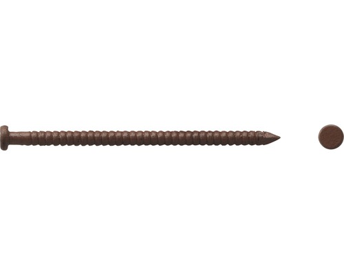 Paneelstift (Colorstift) 1,6x40 mm, dunkelbraun, 80 Stück Eine einzelne Holzschraube mit einem Linsenkopf