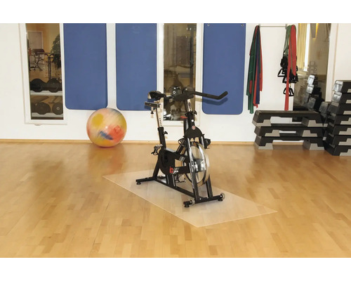 Fitnessraum mit Heimtrainer, Gymnastikball, Matten und Steppern