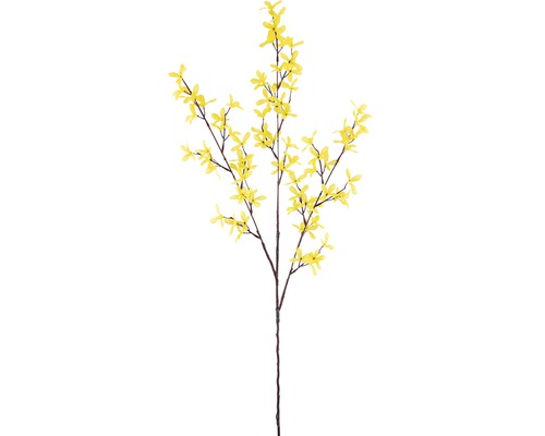 Forsythia Blütenzweig H 94 cm