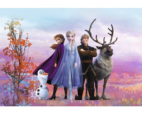 Fototapete Papier SD4103 Disney Edition 4 Disney Frozen Iconic 8-tlg. 368 x 254 cm Illustration der Figuren aus dem Film Die Eiskönigin 2: Anna, Elsa, Kristoff, Rentier Sven und Schneemann Olaf