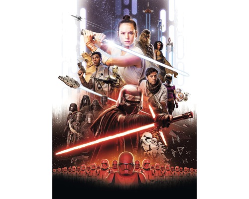 Fototapete Papier SD4113 Star Wars EP9 Rey Poster 4-tlg. 184 x 254 cm