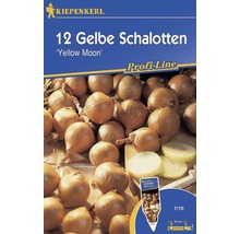 12 gelbe Schalotten der Sorte ''Yellow Moon'' von Kiepenkerl