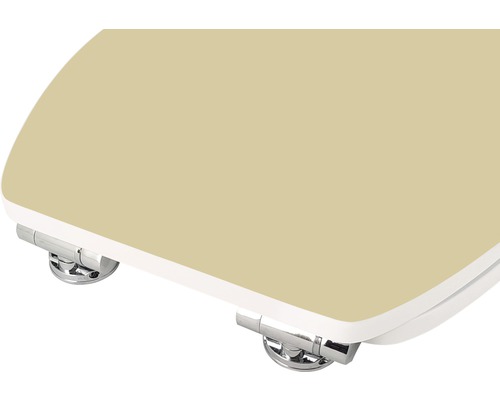 Toilettendeckel mit Chrombeschlägen