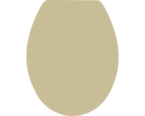 Toilettendeckel aus Kunststoff