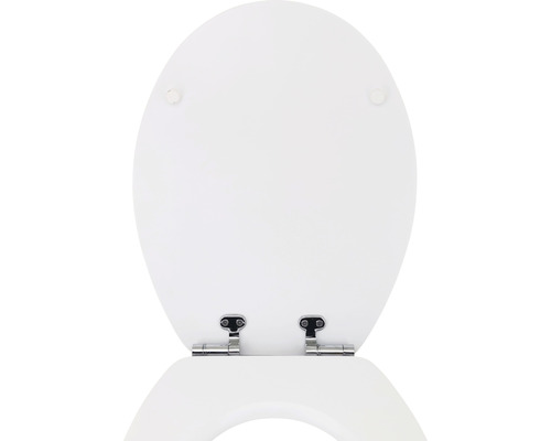 Toilettensitz aus Kunststoff mit Scharnieren