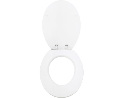 Toilettendeckel aus Kunststoff, geöffnet
