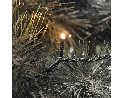Lichterkette mit warmweissem Licht im Weihnachtsbaum