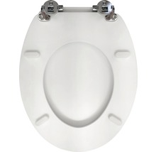 Toilettensitz mit Metallscharnieren