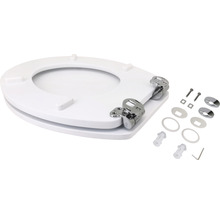 Toilettendeckel mit Befestigungsmaterial