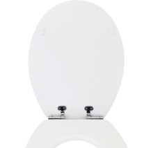 Toilettendeckel aus Sanitärkeramik mit Metallscharnieren