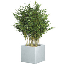 Pflanztopf Lafiora Emilia Kunststein 36,5 x 36,5 x 34,5 cm hellgrau