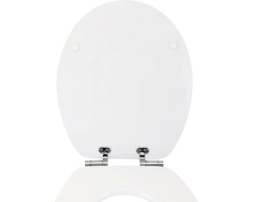 Toilettendeckel aus Kunststoff mit Metallscharnieren
