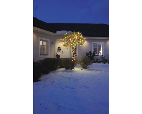 Beleuchteter Baum mit bunten Lichtern vor einem Haus im Winter.