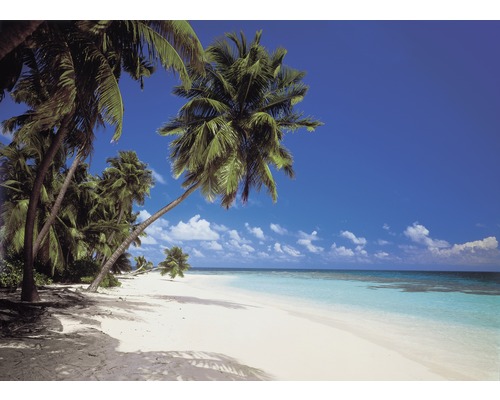 Fototapete Papier 8-240 Imagine Edition 4 Papier Maldive 8-tlg. 388 x 254 cm Tropischer Strand mit Palmen und Meer