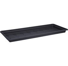 Schwarze Pflanzenschale mit Entwässerungslöchern.