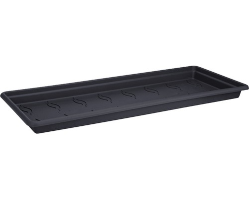 Schwarze Pflanzenschale mit Entwässerungslöchern.