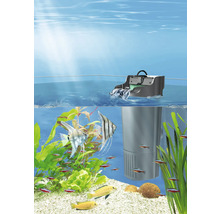 Aquarium mit Innenfilter, Fischen und Pflanzen
