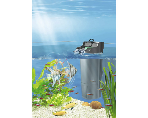 Aquarium mit Innenfilter, Fischen und Pflanzen