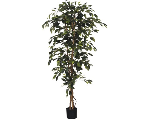 Kunstpflanze Birkenfeige Ficus benjamina Ø 100 H 175 cm grün