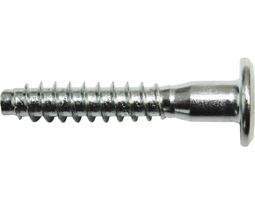 Holzschraube mit Linsenkopf