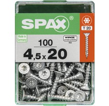 Schrauben im Behälter, Größe 4,5x20 Millimeter