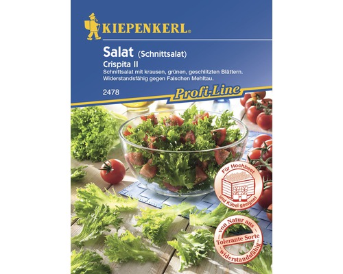 Salat 'Crispita II' Kiepenkerl Salatsamen-0