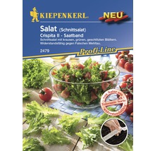 Salat 'Crispita II' Kiepenkerl Salatsamen Saatband-thumb-0