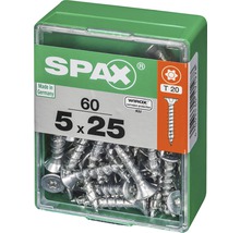 Schrauben 5 x 25 Millimeter im Aufbewahrungsbehälter