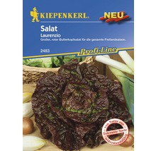 Kiepenkerl Laurenzio Salat-Samenpackung, rote Butterkopfsalat-Sorte