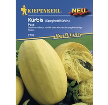 Kürbis 'Pyza' Kiepenkerl Gemüsesamen-thumb-0