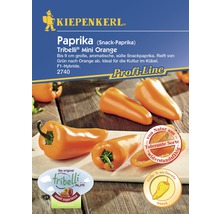 Snackpaprika 'Tribelli mini' orange Kiepenkerl Gemüsesamen-thumb-0