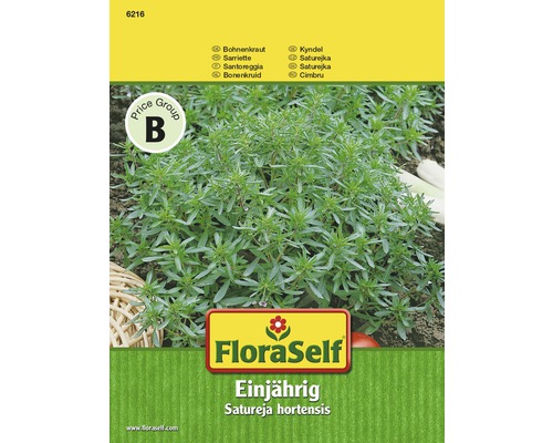Bohnenkraut Pflanze im FloraSelf Samentütchen
