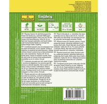 Samenpackung für einjährige Bohnenkrautpflanze Satureja hortensis
