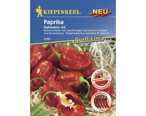 Paprika 'Habanero' Kiepenkerl Gemüsesamen-0