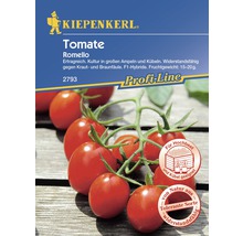 Tomate 'Romello' Kiepenkerl Gemüsesamen-thumb-0