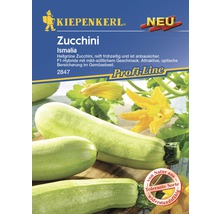 Kiepenkerl Zucchini Ismalia seed packet