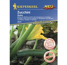Zucchini 'Quine' Kiepenkerl Gemüsesamen
