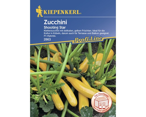 Zucchini Shooting Star Kiepenkerl Hybrid-Saatgut Gemüsesamen