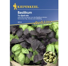 Basilikum 'Try-Basil-Mix' Kiepenkerl Kräutersamen-thumb-0