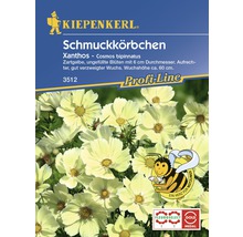 Schmuckkörbchen 'Xanthos' Kiepenkerl Blumensamen