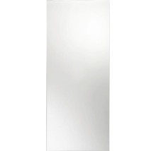 Spiegel Glossy 120 x 50 cm