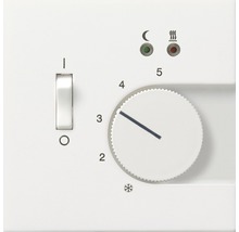Nahaufnahme eines Heizkörperthermostats mit Drehknopf und Schalter